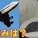飛行機のトイレの仕組み…空に放出されているわけではなかった…